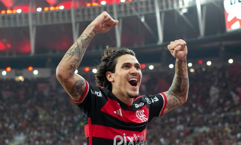 Pedro está voltando! Camisa 9 já pode iniciar condicionamento físico 4 Pedro comemora gol na vitória do Flamengo sobre o Palmeiras (Foto: Mauro Teofilo Da Silva/MyPhoto Press/Gazeta Press)